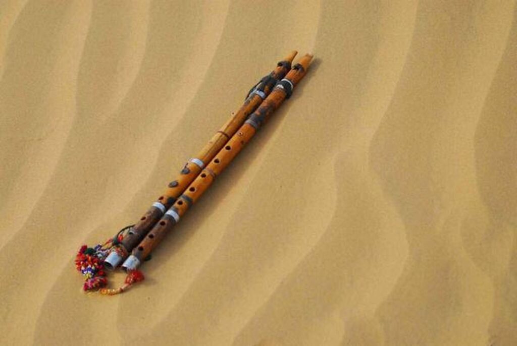 A folk musician playing the algoza double flute during a cultural performance in Kota, Rajasthan.