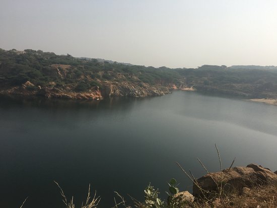A stunning blackbuck at Asola Bhatti Wildlife Sanctuary on the Delhi-Haryana border near Panipat.