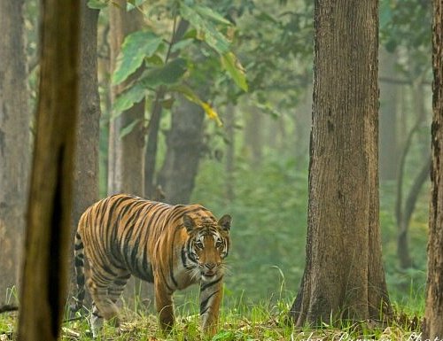Scenic landscapes and the Sharda River flowing through Bhira.