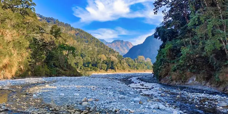 Lush forest cover and hills within Buxa Tiger Reserve near jalpaiguri.