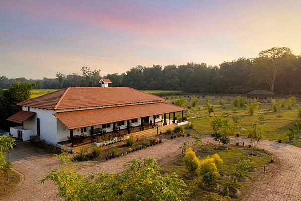 Luxurious forest accommodation at Camp TigerLily in the Lakhimpur Kheri district.