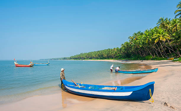 Golden sands and palm trees at Cherai Beach on ernakulam coastline.