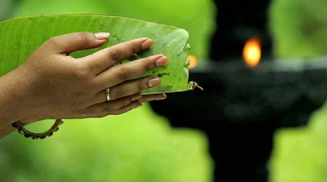 Volunteers serving food as Devotee Services (Seva), selfless rituals of Bihar.