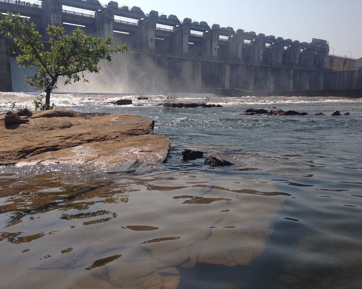 The wide expanse of the Gangrel Dam (Ravishankar Sagar) reservoir.