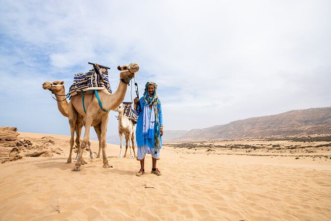 Tourists enjoying a camel ride along the sandy shores of alibag.