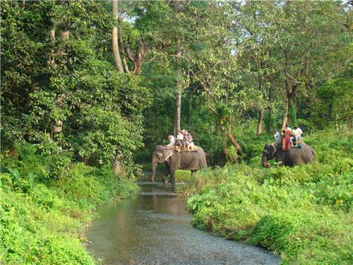 Elephant safari in Jaldapara National Park forest