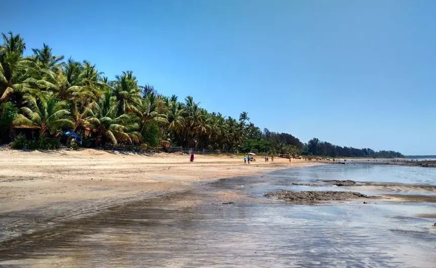 Kihim Beach with its serene shoreline and lush casuarina groves, a peaceful place to visit in Alibaug.