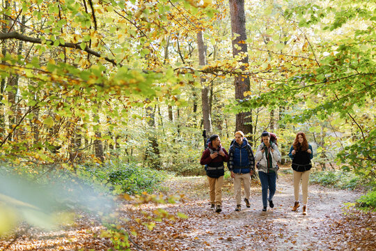 A group of trekkers walking through a dense forest path on a nature walk in Lakhimpur Kheri.