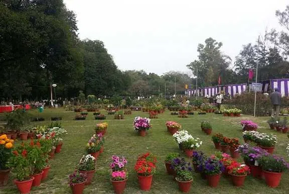 A burst of colorful roses in full bloom at the beautiful Nehru Rose Garden in Ludhiana.