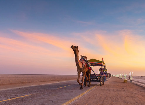 A vast white salt desert under a blue sky, the iconic and breathtaking Rann of Kutch, a top place to visit in Gujarat.