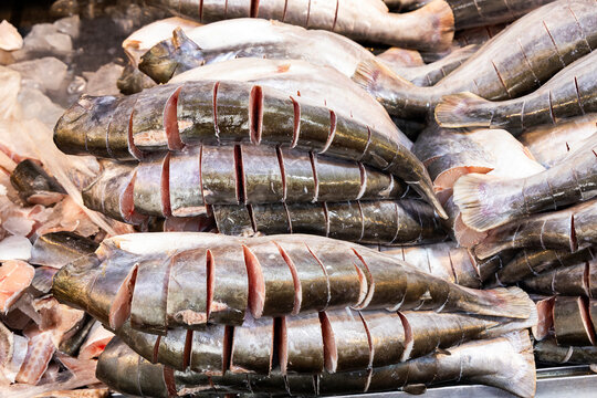 Fresh river fish being prepared with mustard and spices.