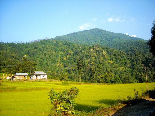Orange orchards and hills in Samsing village