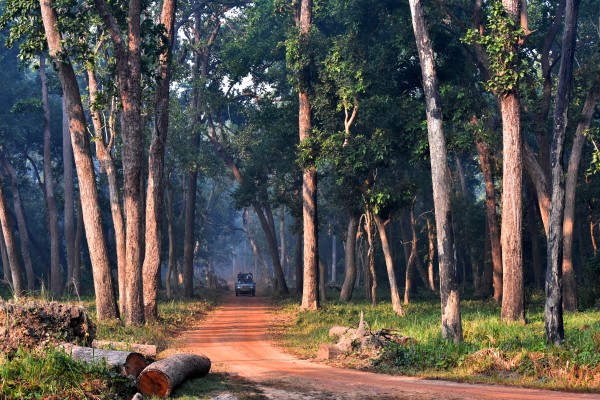 A panoramic view of the vast grasslands in the Terai belt of Uttar Pradesh.