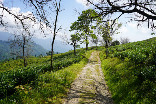 Serene lake with boating facilities surrounded by forested hills and Buddhist monastery