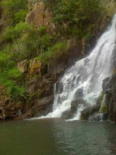 Barda Wildlife Sanctuary protected forest with leopards and diverse birds