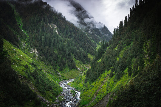 Dense forest cover and walking trails in the Bir Forest Range.