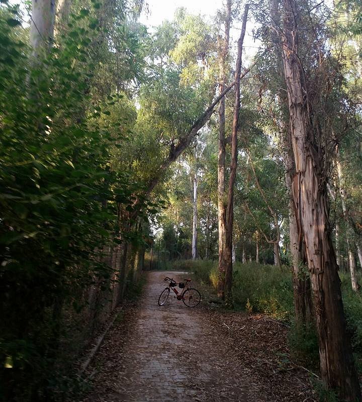 bir talab zoo deer park family places to visit in bhatinda