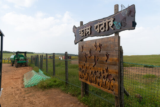 Vibrant wildflowers carpeting the UNESCO World Heritage Kaas Plateau