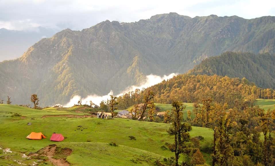 The dense forests of Kedarnath Wildlife Sanctuary surrounding the pristine landscapes of Chopta.