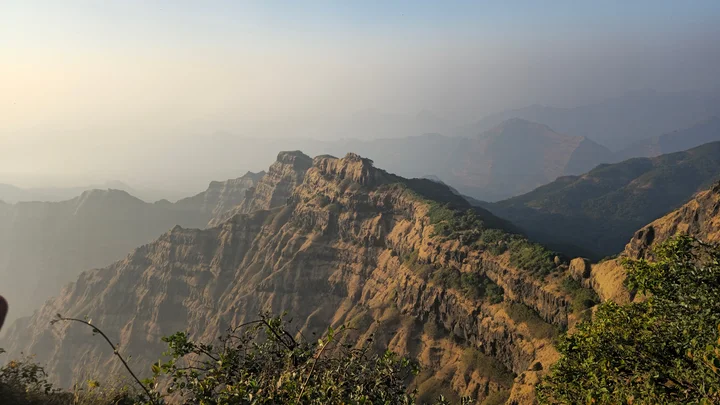 Dense forest cover and biodiversity in the protected Koyna Wildlife Sanctuary area.