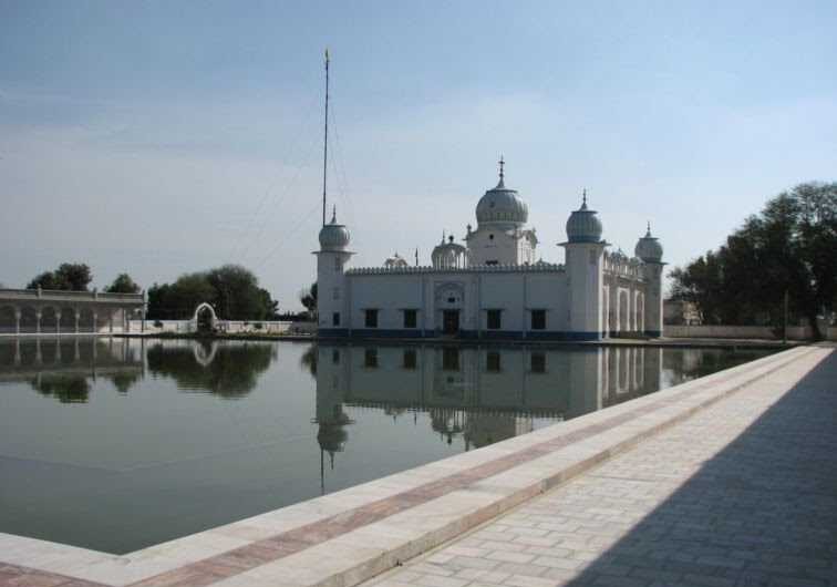 Dense Lakhi Jungle near Bathinda featuring native trees and serene natural walking trails