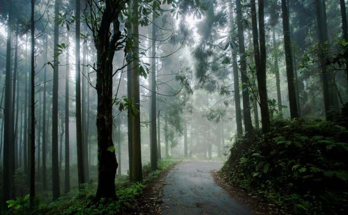 Serene Lava and Loleygaon villages near Kalimpong surrounded by dense forests and pristine nature