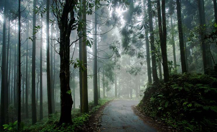 Scenic hamlet with eco-tourism facilities and sunrise viewpoint overlooking Himalayan peaks