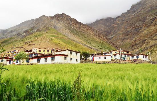 Traditional stone houses in Mudh village at the end of the Pin Valley.