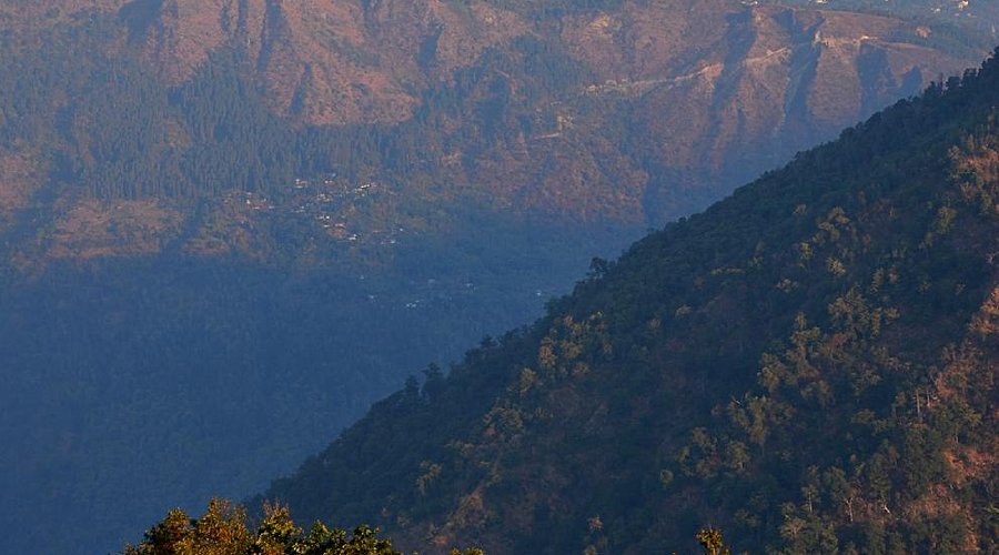 Expansive green meadow at high altitude with grazing yaks and mountain backdrop