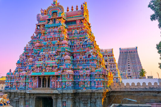 The majestic Sri Ranganathaswamy Temple in Tiruchirappalli, one of the largest temple complexes in India.