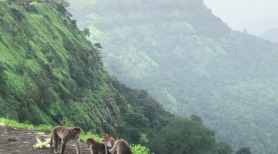 The sheer drop and scenic beauty of Tiger's Point, a famous clifftop in Lonavala offering spectacular views of the surrounding valleys.