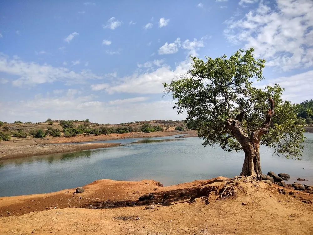 Tranquil Tungarli Lake places to visit Lonavala surrounded by lush greenery and peaceful ambience