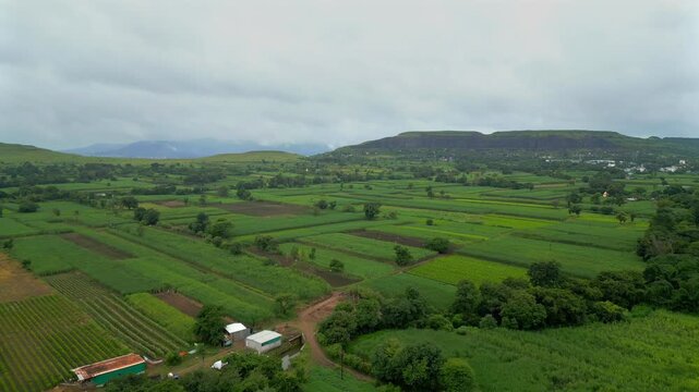 Lush green agricultural farmland stretching across the rural landscape of Satara