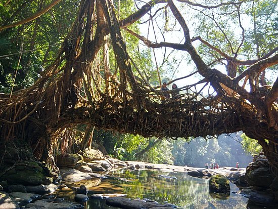 Double-decker living root bridge made of rubber tree roots, a remarkable Places to Visit in Dawki for eco-architecture and trekking
