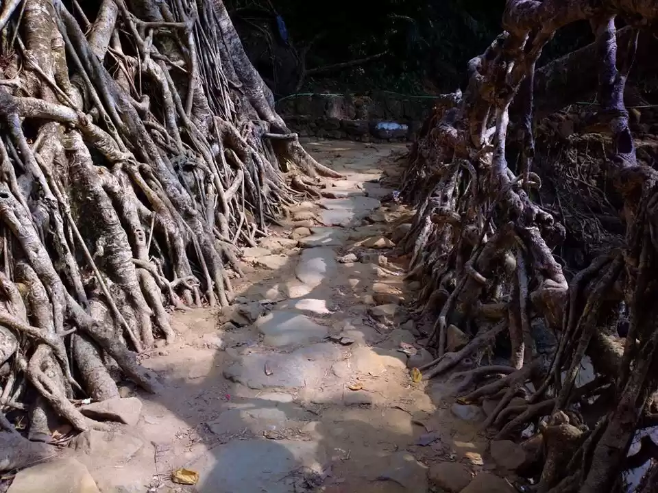 Traditional Khasi village with thatched homes and monoliths, an excellent Places to Visit in Dawki for indigenous culture and storytelling