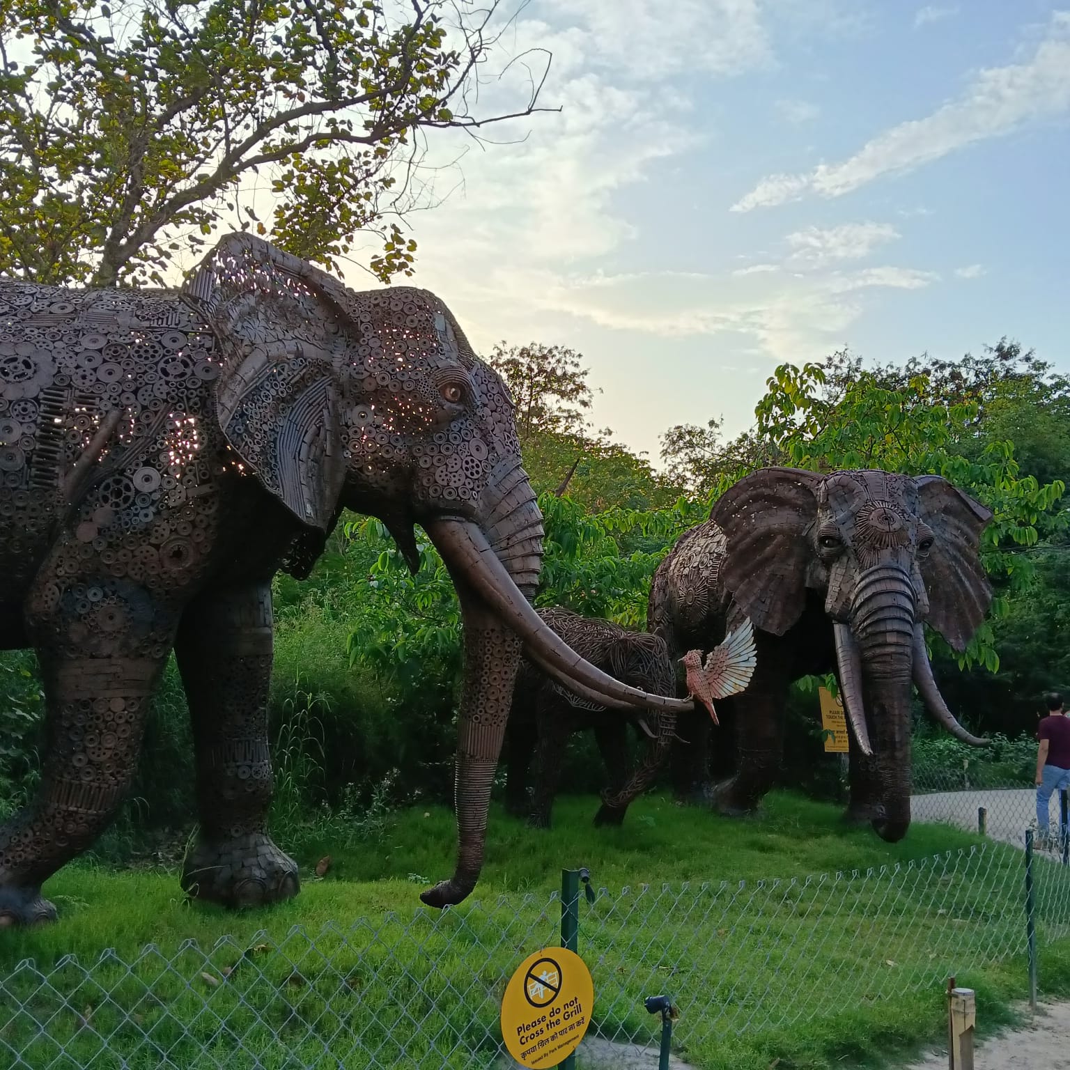 Jungle trail park, Noida