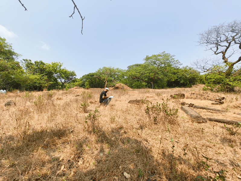 Structural Ruins, Narayangad