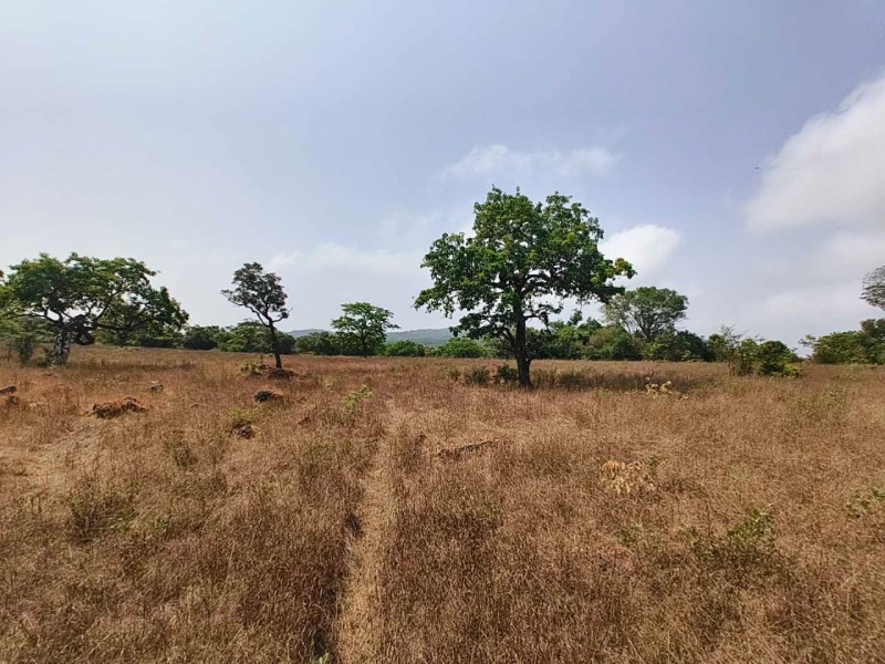 Narayangad