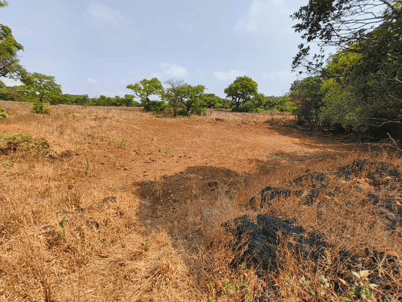 Low lying area, Narayangad