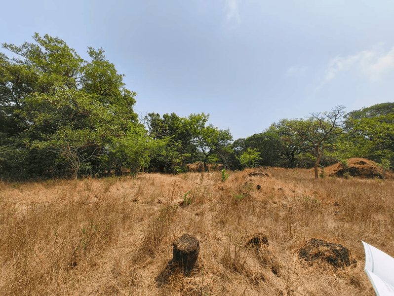 Scattered Carved stones, Narayangad