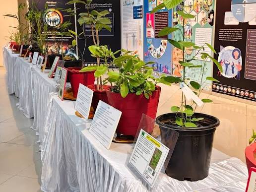 Environmental Science Exhibits