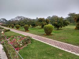 Landscaped Gardens