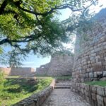 Panoramic view from Tughlaqabad Fort