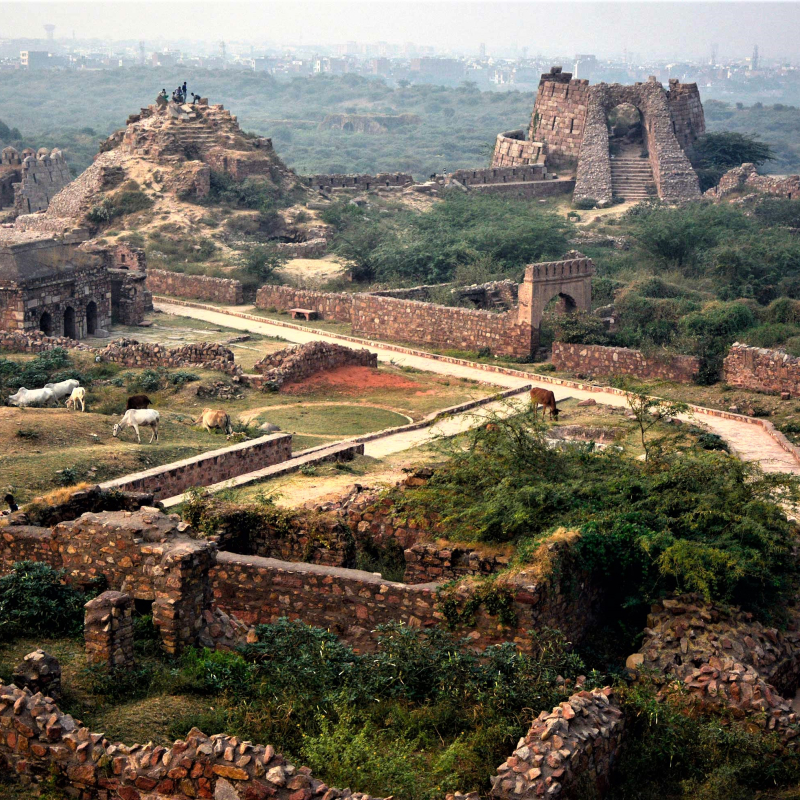 Tughlaqabad Fort​ Sideview