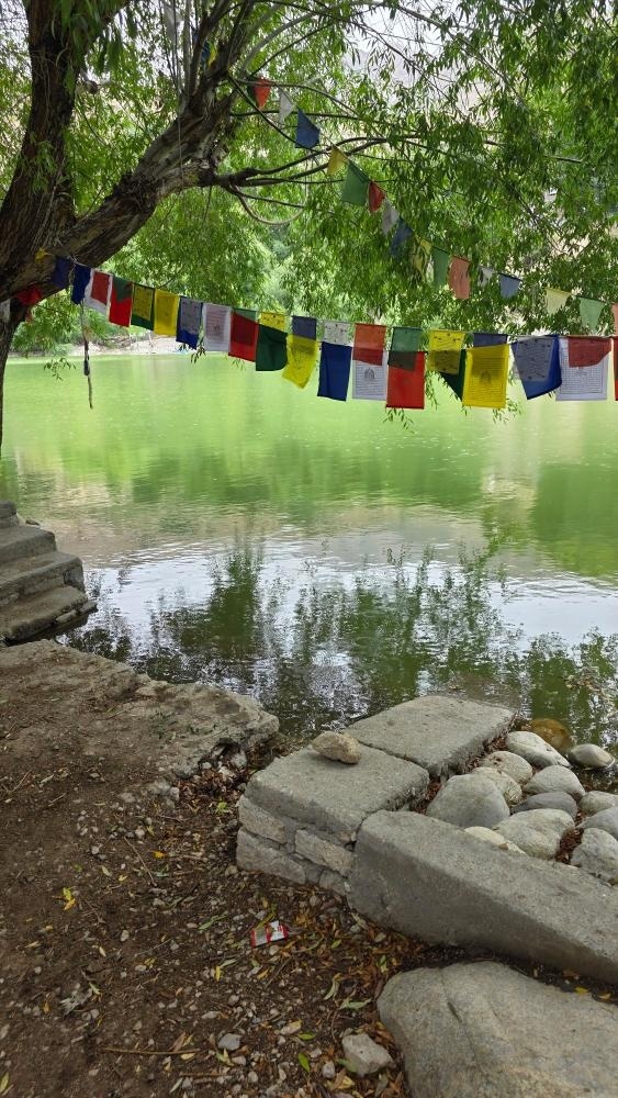 Colorful Buddhist prayer flags hanging over the calm green waters of Nako Lake surrounded by willow trees in Kinnaur, Himachal Pradesh