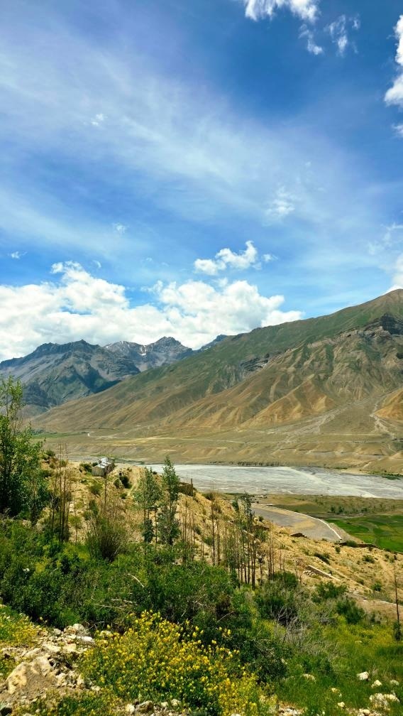 Wide landscape of Spiti River valley with yellow wildflowers, green trees, and layered mountain ranges under a blue sky