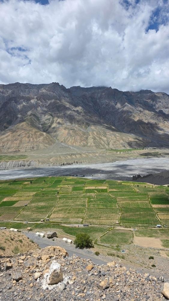 Aerial view of patchwork green agricultural fields in Spiti Valley contrasting against barren rocky mountains and a dry riverbed