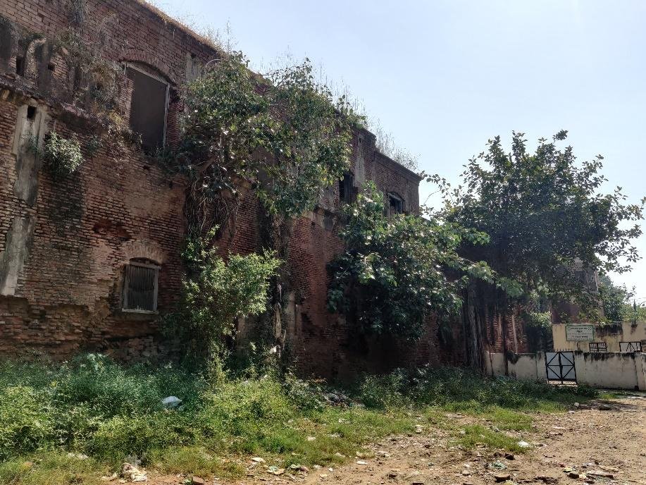 Overgrown vegetation around the sarai complex at Rajpura, Patiala