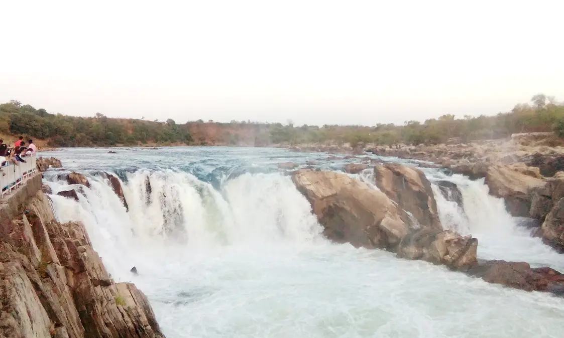 Dhuadhar Falls on the Narmada River at Bhedaghat, Jabalpur, with white water cascading over rocky gorge surrounded by trees