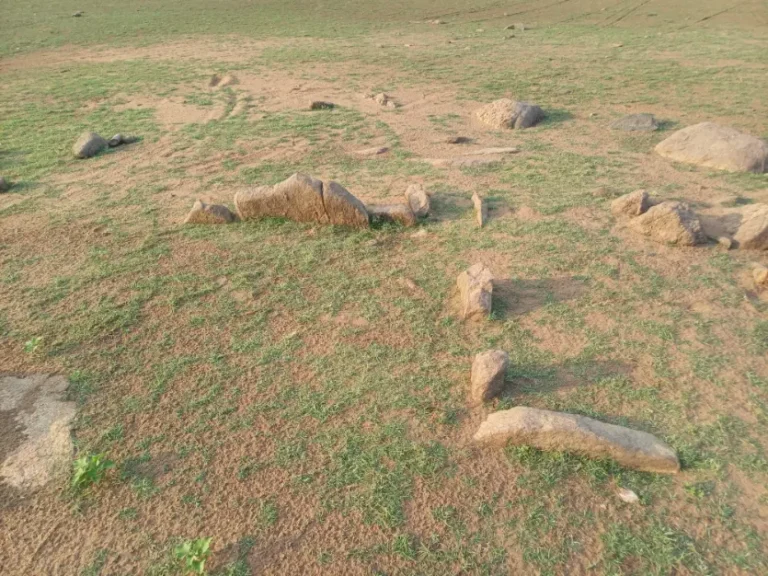 Cist inside the stone circle